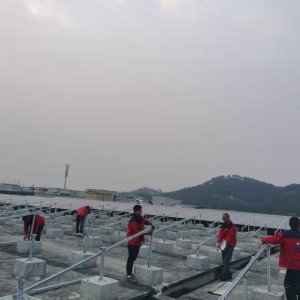 龍呈計生有限公司